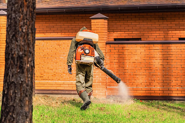 Bed Bug Clearance Verification and Documentation in Ballwin